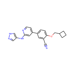 N#Cc1cc(-c2ccnc(Nc3cn[nH]c3)c2)ccc1OCC1CCC1 ZINC000148232775