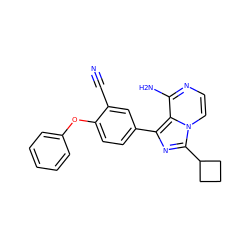 N#Cc1cc(-c2nc(C3CCC3)n3ccnc(N)c23)ccc1Oc1ccccc1 ZINC000096168277