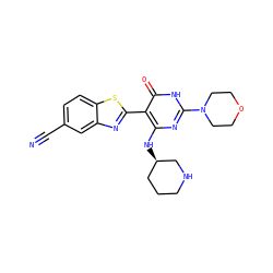 N#Cc1ccc2sc(-c3c(N[C@@H]4CCCNC4)nc(N4CCOCC4)[nH]c3=O)nc2c1 ZINC001772643272