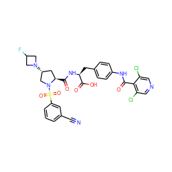 N#Cc1cccc(S(=O)(=O)N2C[C@H](N3CC(F)C3)C[C@H]2C(=O)N[C@@H](Cc2ccc(NC(=O)c3c(Cl)cncc3Cl)cc2)C(=O)O)c1 ZINC000049694828