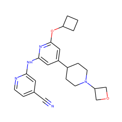 N#Cc1ccnc(Nc2cc(C3CCN(C4COC4)CC3)cc(OC3CCC3)n2)c1 ZINC000299869009