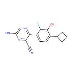 N#Cc1nc(N)cnc1-c1ccc(C2CCC2)c(O)c1F ZINC000212140157