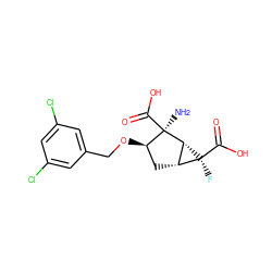 N[C@@]1(C(=O)O)[C@H](OCc2cc(Cl)cc(Cl)c2)C[C@@H]2[C@H]1[C@@]2(F)C(=O)O ZINC000013582196