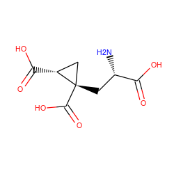 N[C@@H](C[C@]1(C(=O)O)C[C@H]1C(=O)O)C(=O)O ZINC000653720219