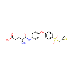 N[C@@H](CCC(=O)O)C(=O)Nc1ccc(Oc2ccc(S(=O)(=O)C[C@@H]3CS3)cc2)cc1 ZINC000072122795