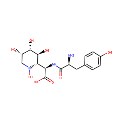 N[C@@H](Cc1ccc(O)cc1)C(=O)N[C@@H](C(=O)O)[C@H]1[C@H](O)[C@@H](O)[C@@H](O)CN1O ZINC000029487614