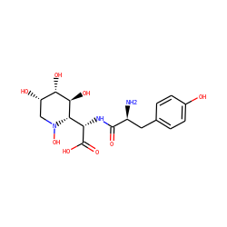 N[C@@H](Cc1ccc(O)cc1)C(=O)N[C@H](C(=O)O)[C@H]1[C@H](O)[C@@H](O)[C@@H](O)CN1O ZINC000029481139