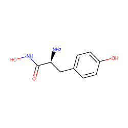 N[C@@H](Cc1ccc(O)cc1)C(=O)NO ZINC000000009568