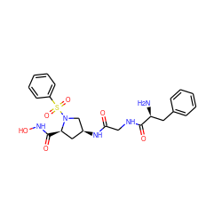 N[C@@H](Cc1ccccc1)C(=O)NCC(=O)N[C@H]1C[C@@H](C(=O)NO)N(S(=O)(=O)c2ccccc2)C1 ZINC000169330863