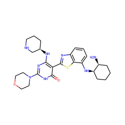 N[C@H]1CCCC[C@H]1Nc1cccc2nc(-c3c(N[C@@H]4CCCNC4)nc(N4CCOCC4)[nH]c3=O)sc12 ZINC000299829891