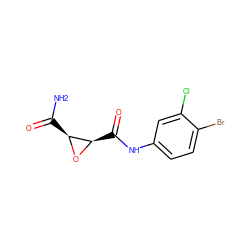 NC(=O)[C@@H]1O[C@@H]1C(=O)Nc1ccc(Br)c(Cl)c1 ZINC000299857610