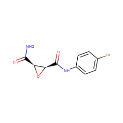 NC(=O)[C@@H]1O[C@@H]1C(=O)Nc1ccc(Br)cc1 ZINC000299864236