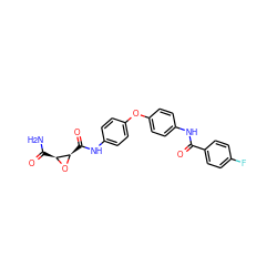 NC(=O)[C@@H]1O[C@@H]1C(=O)Nc1ccc(Oc2ccc(NC(=O)c3ccc(F)cc3)cc2)cc1 ZINC000299857922