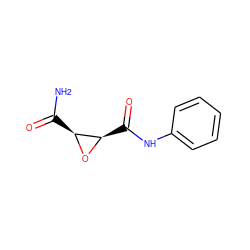 NC(=O)[C@@H]1O[C@@H]1C(=O)Nc1ccccc1 ZINC000163789418