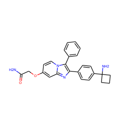 NC(=O)COc1ccn2c(-c3ccccc3)c(-c3ccc(C4(N)CCC4)cc3)nc2c1 ZINC000113658301