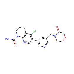 NC(=O)N1CCCc2c1ncc(-c1cncc(CN3CCOCC3=O)c1)c2Cl ZINC001772592738