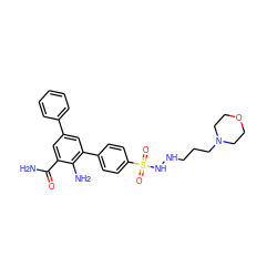 NC(=O)c1cc(-c2ccccc2)cc(-c2ccc(S(=O)(=O)NNCCCN3CCOCC3)cc2)c1N ZINC000028703871