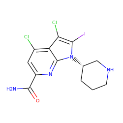 NC(=O)c1cc(Cl)c2c(Cl)c(I)n([C@H]3CCCNC3)c2n1 ZINC001772623517