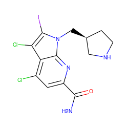 NC(=O)c1cc(Cl)c2c(Cl)c(I)n(C[C@H]3CCNC3)c2n1 ZINC001772589457