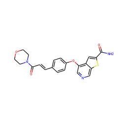 NC(=O)c1cc2c(Oc3ccc(/C=C/C(=O)N4CCOCC4)cc3)cncc2s1 ZINC000013864426