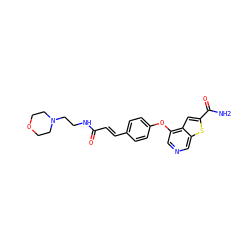 NC(=O)c1cc2c(Oc3ccc(/C=C/C(=O)NCCN4CCOCC4)cc3)cncc2s1 ZINC000013864427