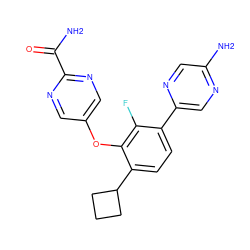 NC(=O)c1ncc(Oc2c(C3CCC3)ccc(-c3cnc(N)cn3)c2F)cn1 ZINC000224553226