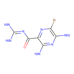 NC(N)=NC(=O)c1nc(Br)c(N)nc1N ZINC000033902762