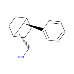 NC[C@@H]1C2CCC(CC2)[C@H]1c1ccccc1 ZINC000013795110