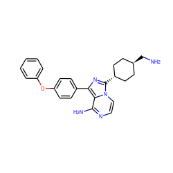 NC[C@H]1CC[C@H](c2nc(-c3ccc(Oc4ccccc4)cc3)c3c(N)nccn32)CC1 ZINC000261183404