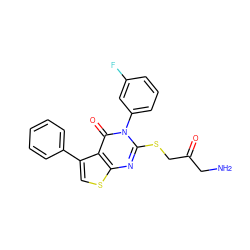 NCC(=O)CSc1nc2scc(-c3ccccc3)c2c(=O)n1-c1cccc(F)c1 ZINC000028355004