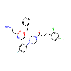 NCCC(=O)N[C@@H](COCc1ccccc1)c1cc(F)ccc1N1CCN(C(=O)CCc2ccc(Cl)cc2Cl)CC1 ZINC000036285439