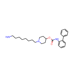 NCCCCCCCCN1CCC(OC(=O)Nc2ccccc2-c2ccccc2)CC1 ZINC000066097259