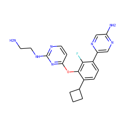 NCCNc1nccc(Oc2c(C3CCC3)ccc(-c3cnc(N)cn3)c2F)n1 ZINC000212154448