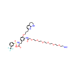 NCCOCCOCCOCCOCCOCCOCC(=O)Nc1cc(C[C@H](NS(=O)(=O)c2cccc(C(F)(F)F)c2)C(=O)O)ccc1OCCCc1ccc2c(n1)NCCC2 ZINC000150553721