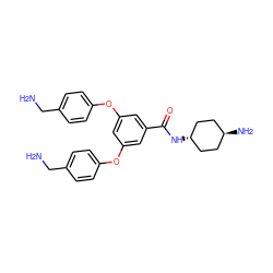 NCc1ccc(Oc2cc(Oc3ccc(CN)cc3)cc(C(=O)N[C@H]3CC[C@H](N)CC3)c2)cc1 ZINC000261143962