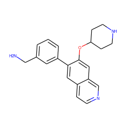 NCc1cccc(-c2cc3ccncc3cc2OC2CCNCC2)c1 ZINC000040939787