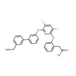 NCc1cccc(-c2cccc(Oc3nc(Oc4ccccc4CC(=O)O)c(F)cc3F)c2)c1 ZINC000045258818