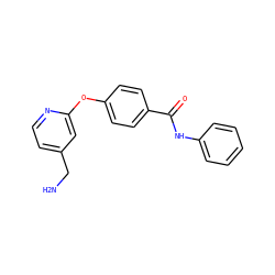 NCc1ccnc(Oc2ccc(C(=O)Nc3ccccc3)cc2)c1 ZINC001772625013