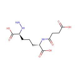 NN[C@@H](CCC[C@H](NC(=O)CCC(=O)O)C(=O)O)C(=O)O ZINC000028087524