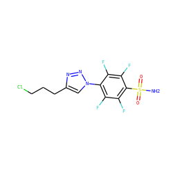 NS(=O)(=O)c1c(F)c(F)c(-n2cc(CCCCl)nn2)c(F)c1F ZINC000299828823