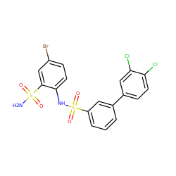 NS(=O)(=O)c1cc(Br)ccc1NS(=O)(=O)c1cccc(-c2ccc(Cl)c(Cl)c2)c1 ZINC000147347667