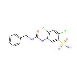 NS(=O)(=O)c1cc(NC(=O)NCc2ccccc2)c(Cl)cc1Cl ZINC000169351751