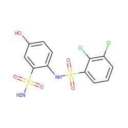 NS(=O)(=O)c1cc(O)ccc1NS(=O)(=O)c1cccc(Cl)c1Cl ZINC000149474331