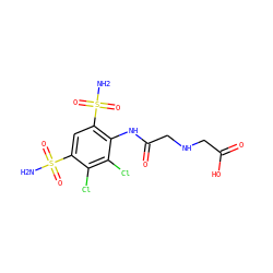 NS(=O)(=O)c1cc(S(N)(=O)=O)c(NC(=O)CNCC(=O)O)c(Cl)c1Cl ZINC000013472889