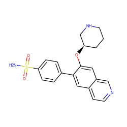 NS(=O)(=O)c1ccc(-c2cc3ccncc3cc2O[C@@H]2CCCNC2)cc1 ZINC000040413183