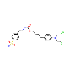 NS(=O)(=O)c1ccc(CCNC(=O)OCCCCc2ccc(N(CCCl)CCCl)cc2)cc1 ZINC001772589314