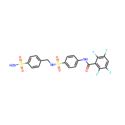 NS(=O)(=O)c1ccc(CNS(=O)(=O)c2ccc(NC(=O)c3c(F)c(F)cc(F)c3F)cc2)cc1 ZINC000026402723