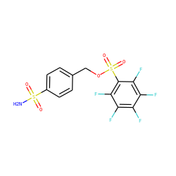 NS(=O)(=O)c1ccc(COS(=O)(=O)c2c(F)c(F)c(F)c(F)c2F)cc1 ZINC000013835308