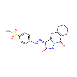 NS(=O)(=O)c1ccc(N/N=C2\C(=O)Nn3c2nc2c(c3=O)CCCC2)cc1 ZINC000100560427