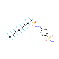 NS(=O)(=O)c1ccc(NNS(=O)(=O)C(F)(F)C(F)(F)C(F)(F)C(F)(F)C(F)(F)C(F)(F)C(F)(F)C(F)(F)F)cc1 ZINC000034718116